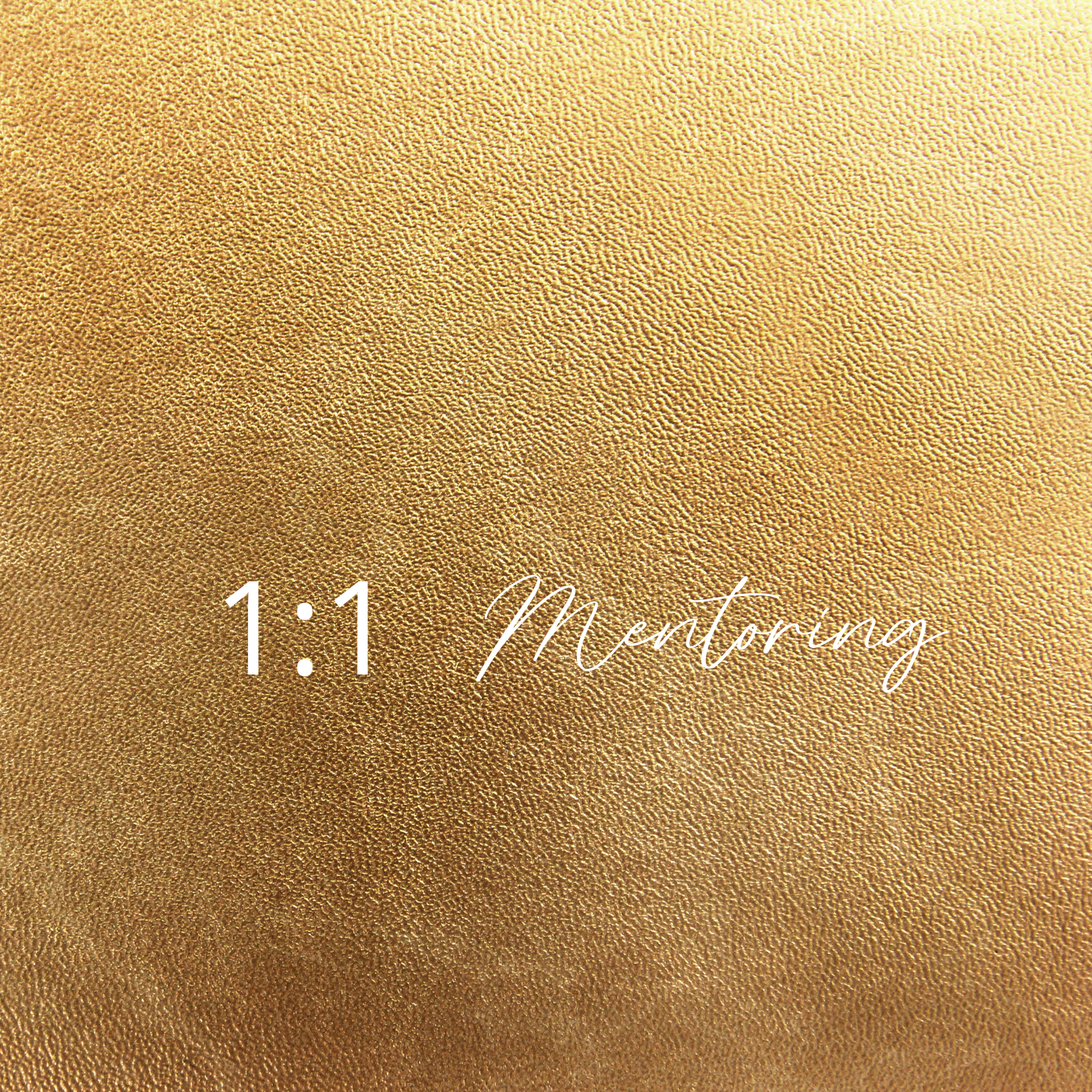 Mentoring Mentoring