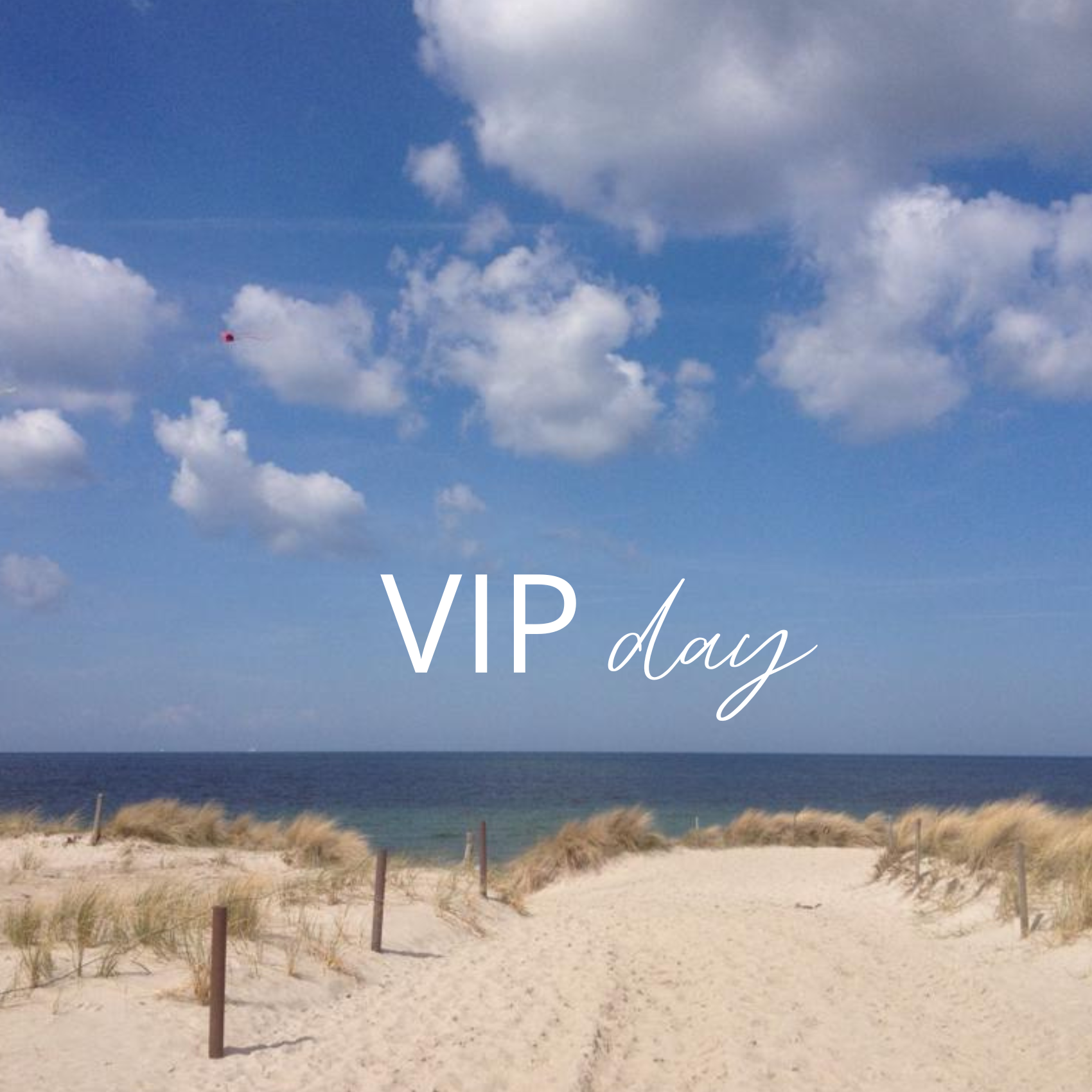 VIP VIP