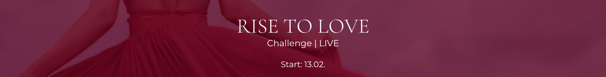 Rise to Love Challenge (1945 x 250 px)